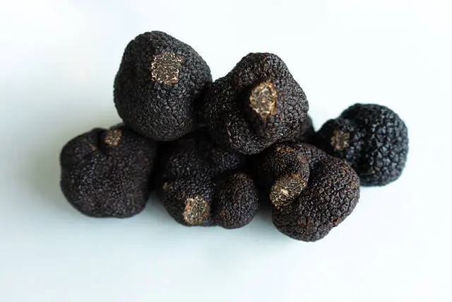 truffles for dogs
