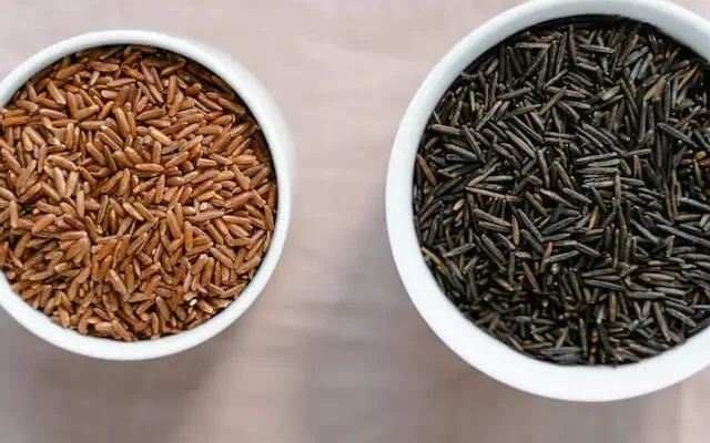 different rice combinations for dogs