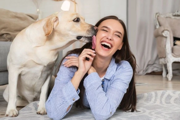 A dog licking a girl's face but you should not let your dog lick your face. There are various reasons to not let your dog lick your face