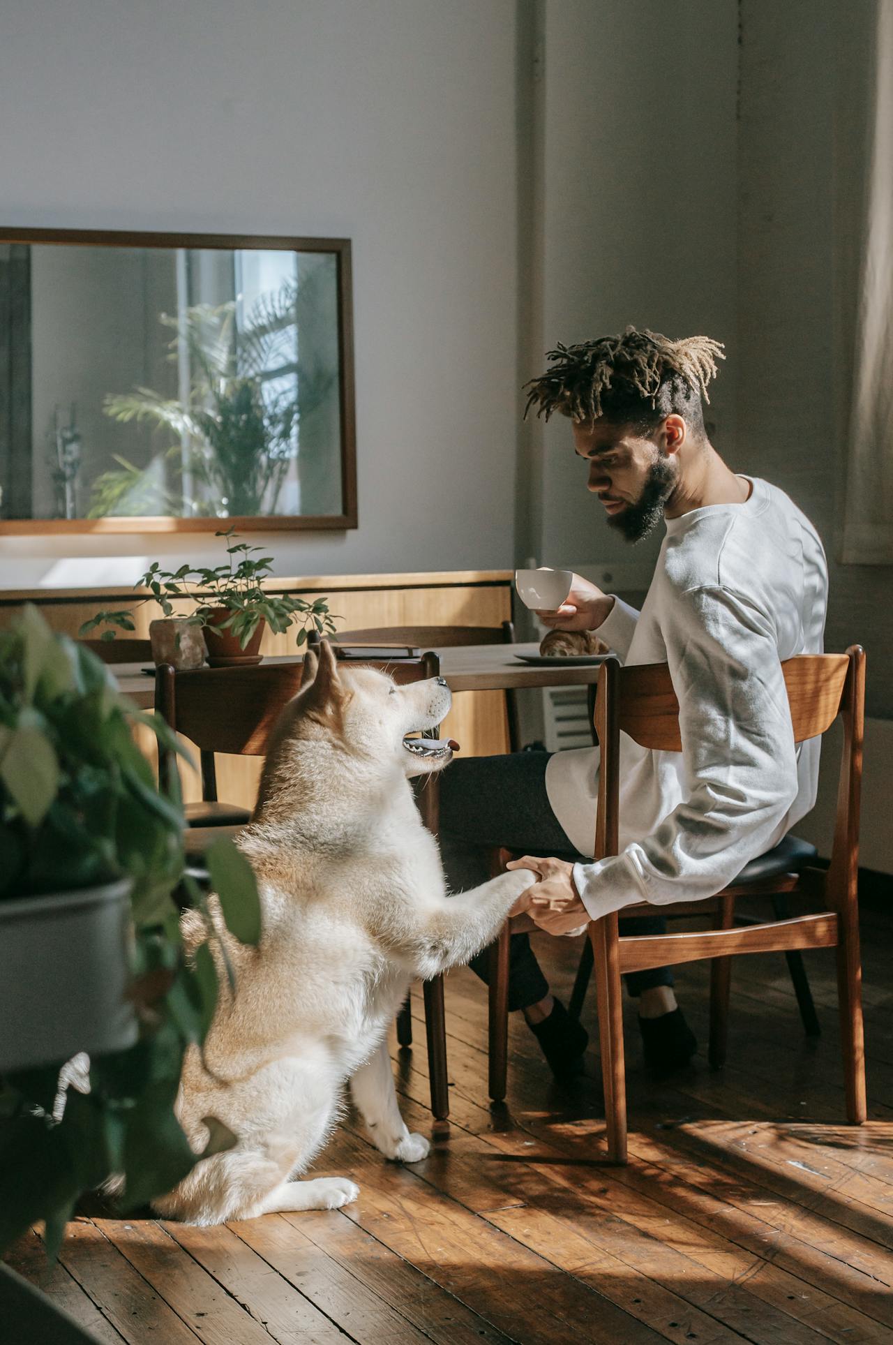 How to Prepare Your Dog for a Café Visit